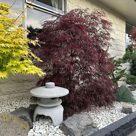 The Airport Homestay House Christchurch Eksteriør billede