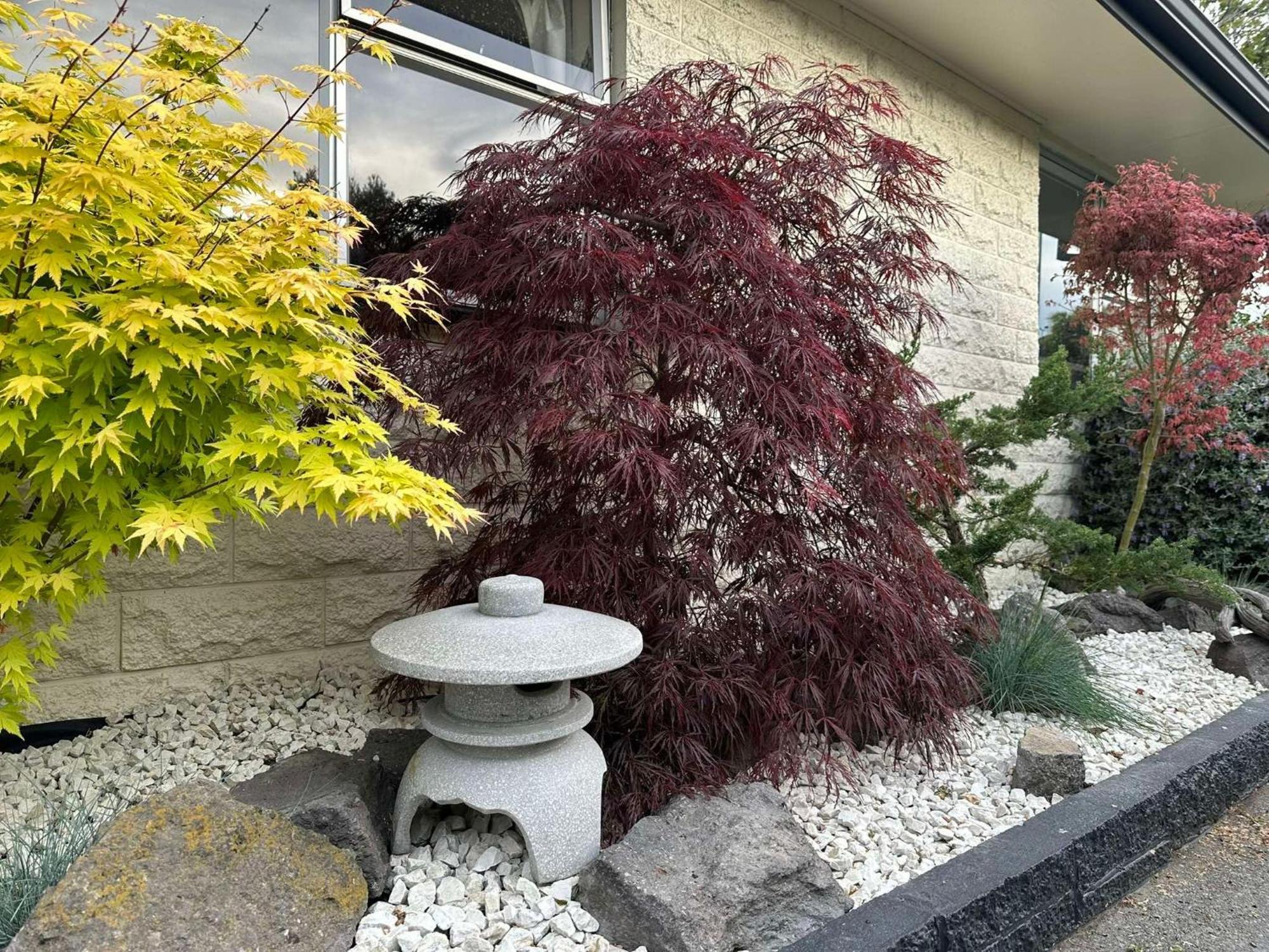The Airport Homestay House Christchurch Eksteriør billede