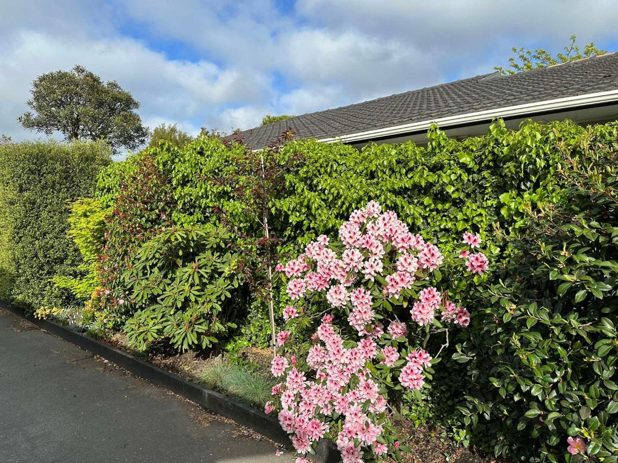 The Airport Homestay House Christchurch Eksteriør billede