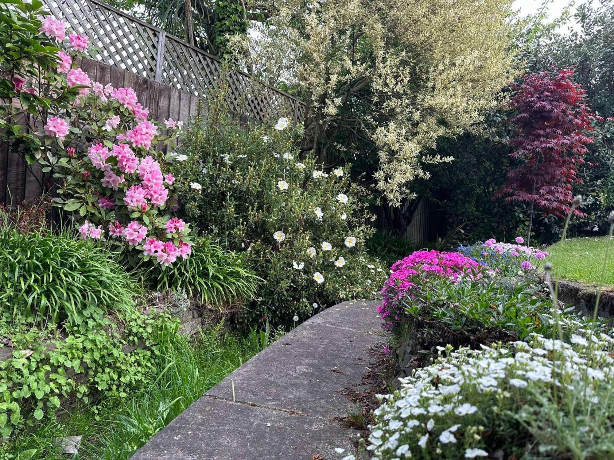 The Airport Homestay House Christchurch Eksteriør billede